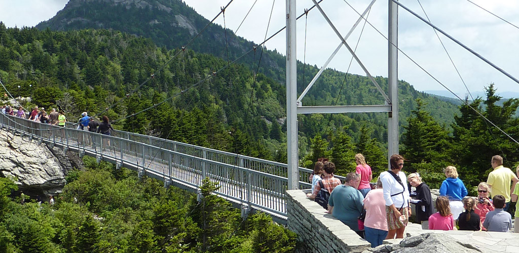 C22463CCF405EA752127A2CD72264461