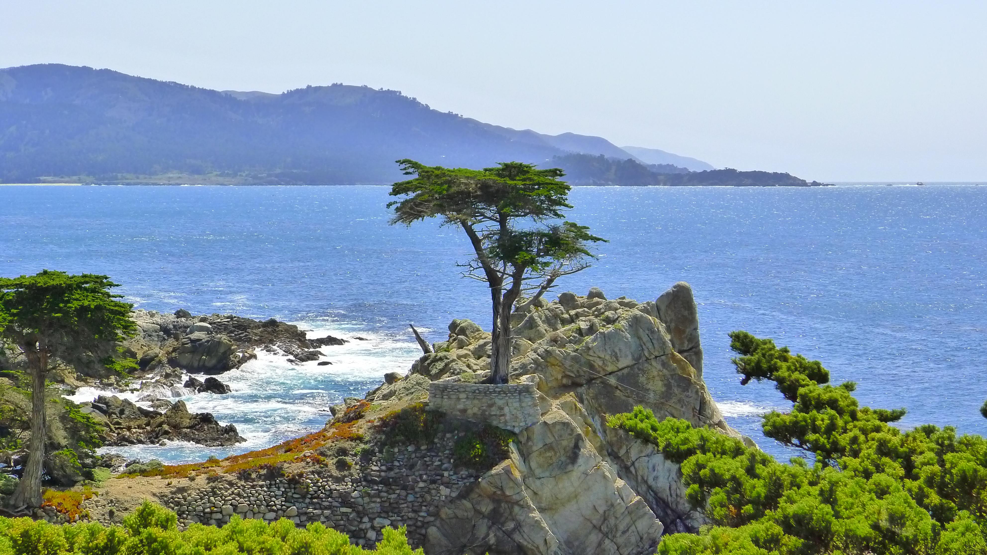 17-mile-drive-lone-cypress-tree1