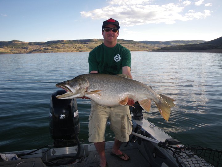 216989_197219923650793_3800431_n