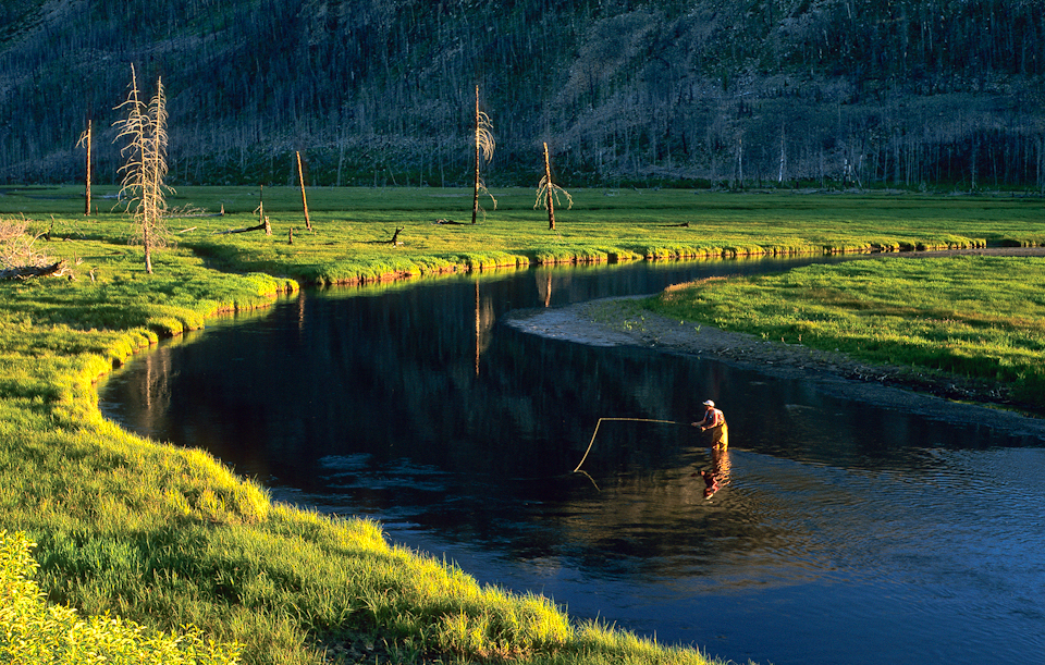 Madison River, YNP, gl-3-Edit
