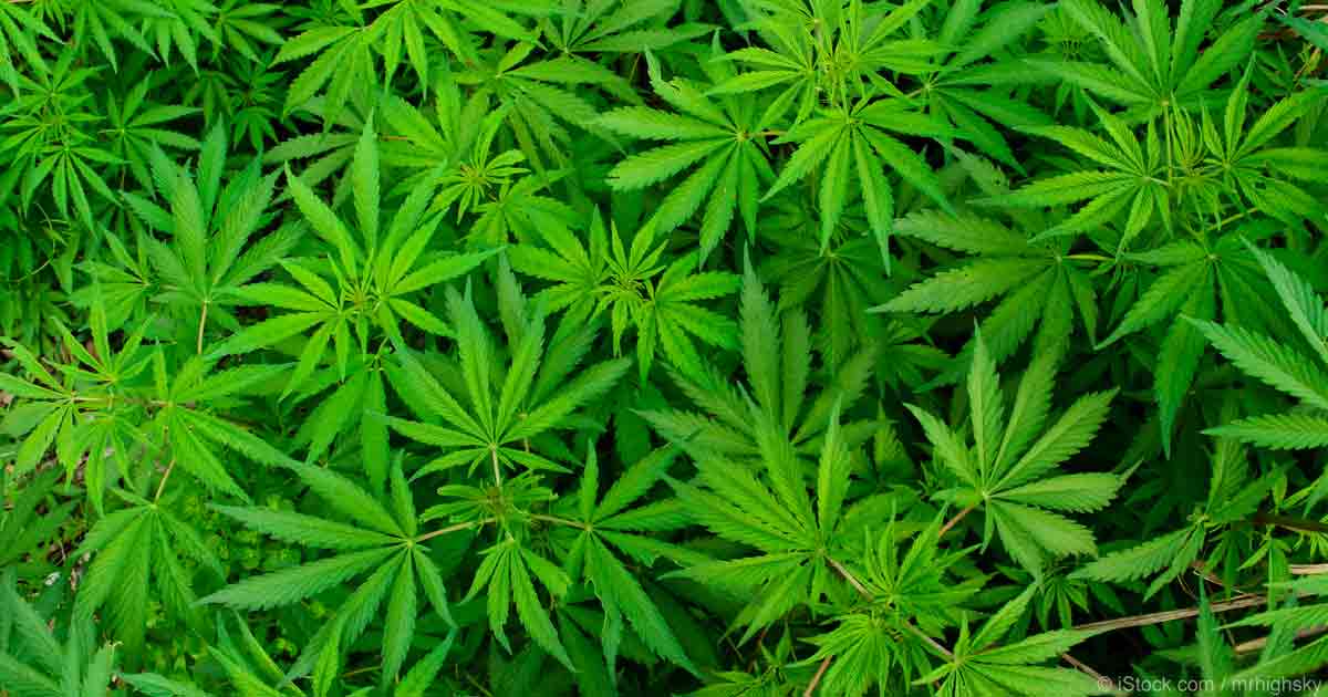 research-supports-marijuana-benefits-fb