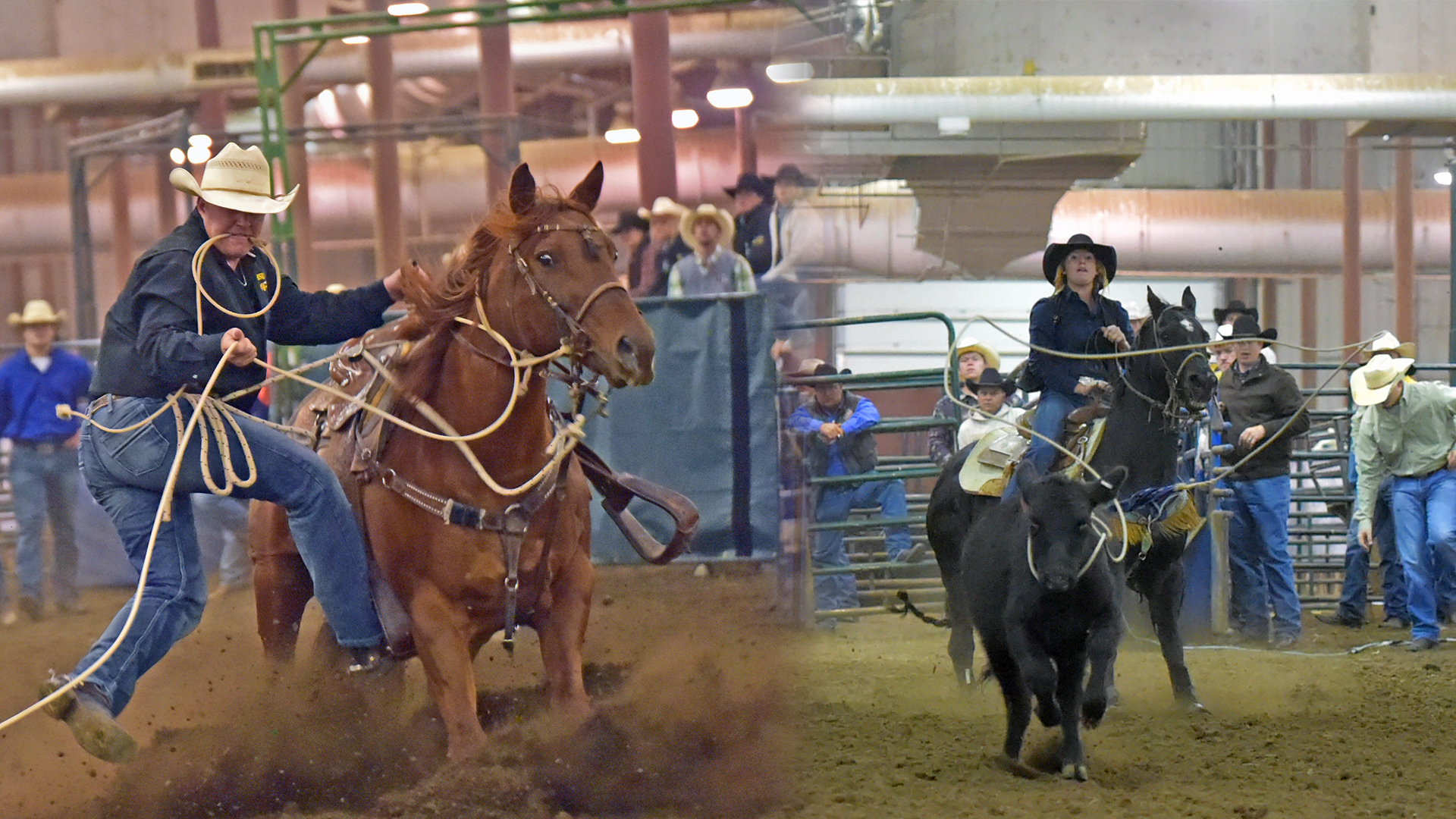 Rossow_Jorgensen_photo_71