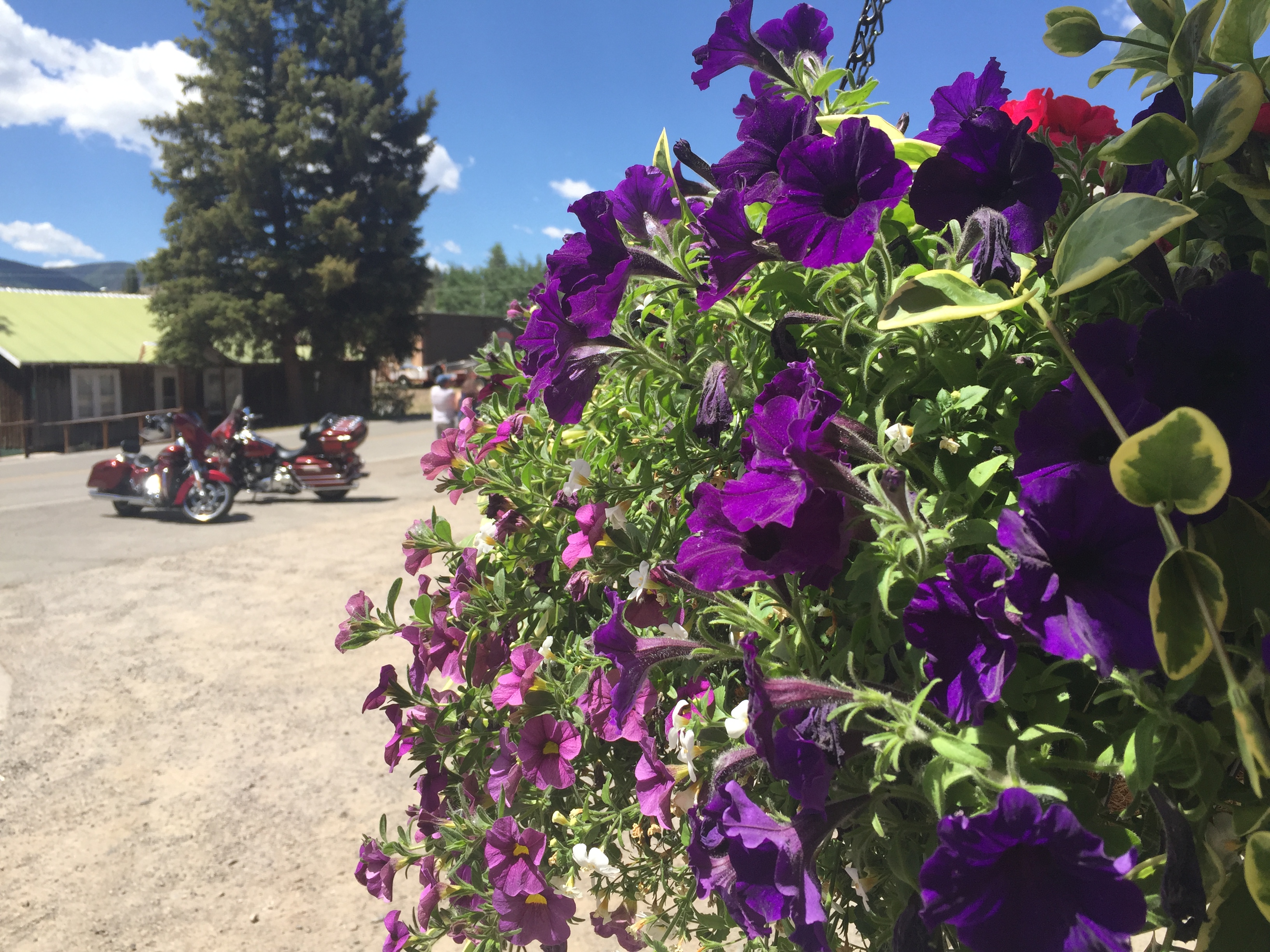 4DBAE22A-913C-4B43-9E4E-FC7DA06AA3DA