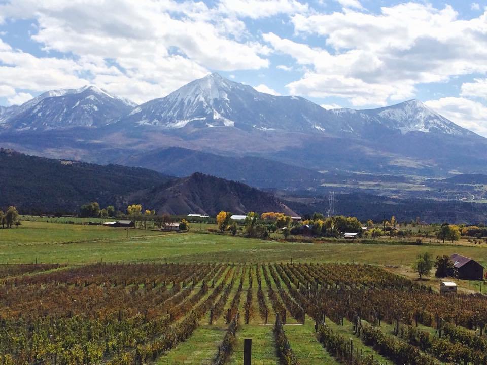 5AEFDFCA-2552-4D22-9436-A3A1CA34EADD