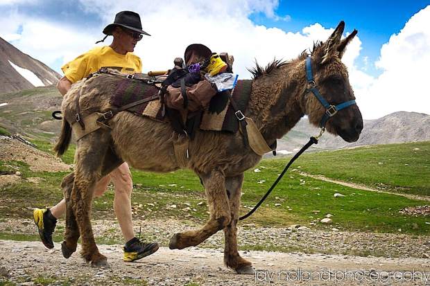 Burro Days on Mosquito Pass