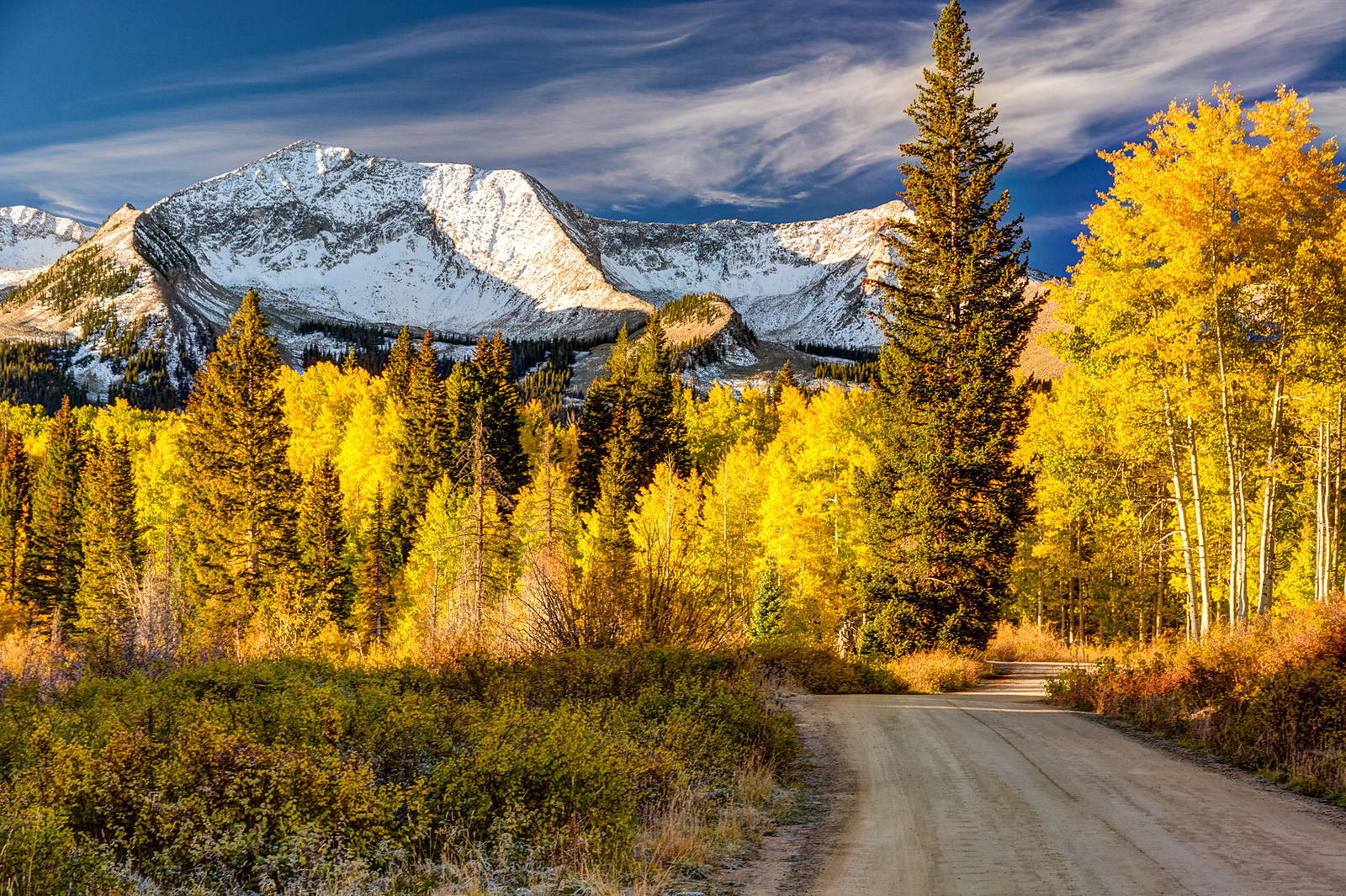 Kebler Pass Fall Glow