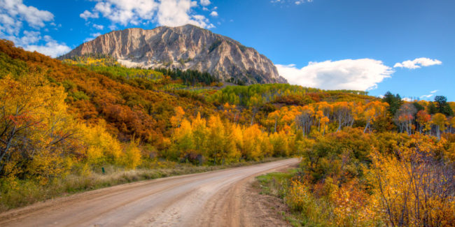 kebler-pass-trees-colorado-1280x640-650x325