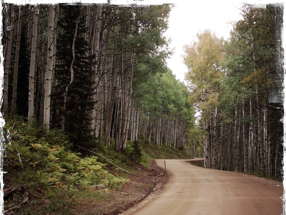 original_open-uri20130328-1274-memben