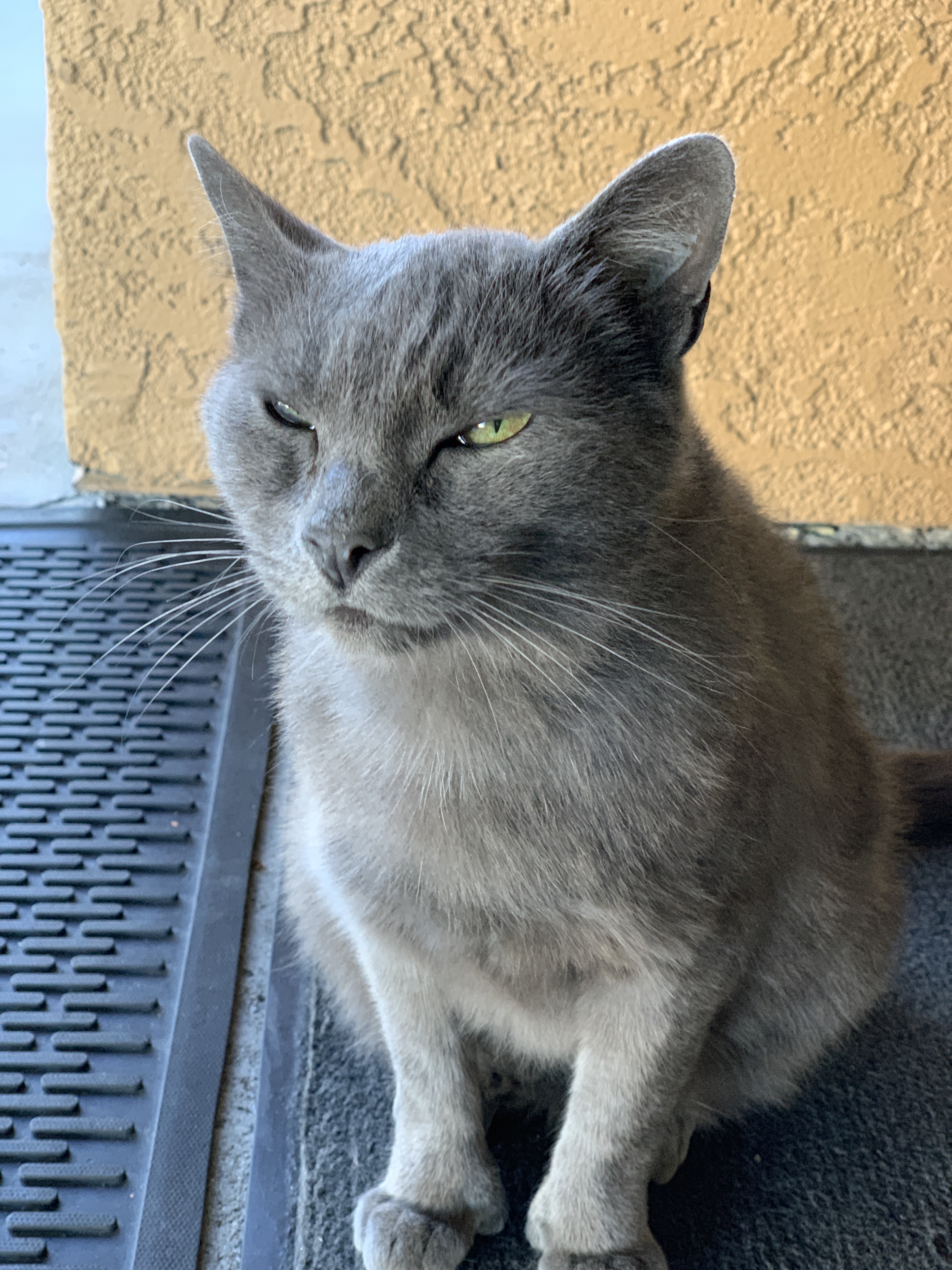 00B28F81-8FB5-4316-A2A7-1CA6AF59CF5E