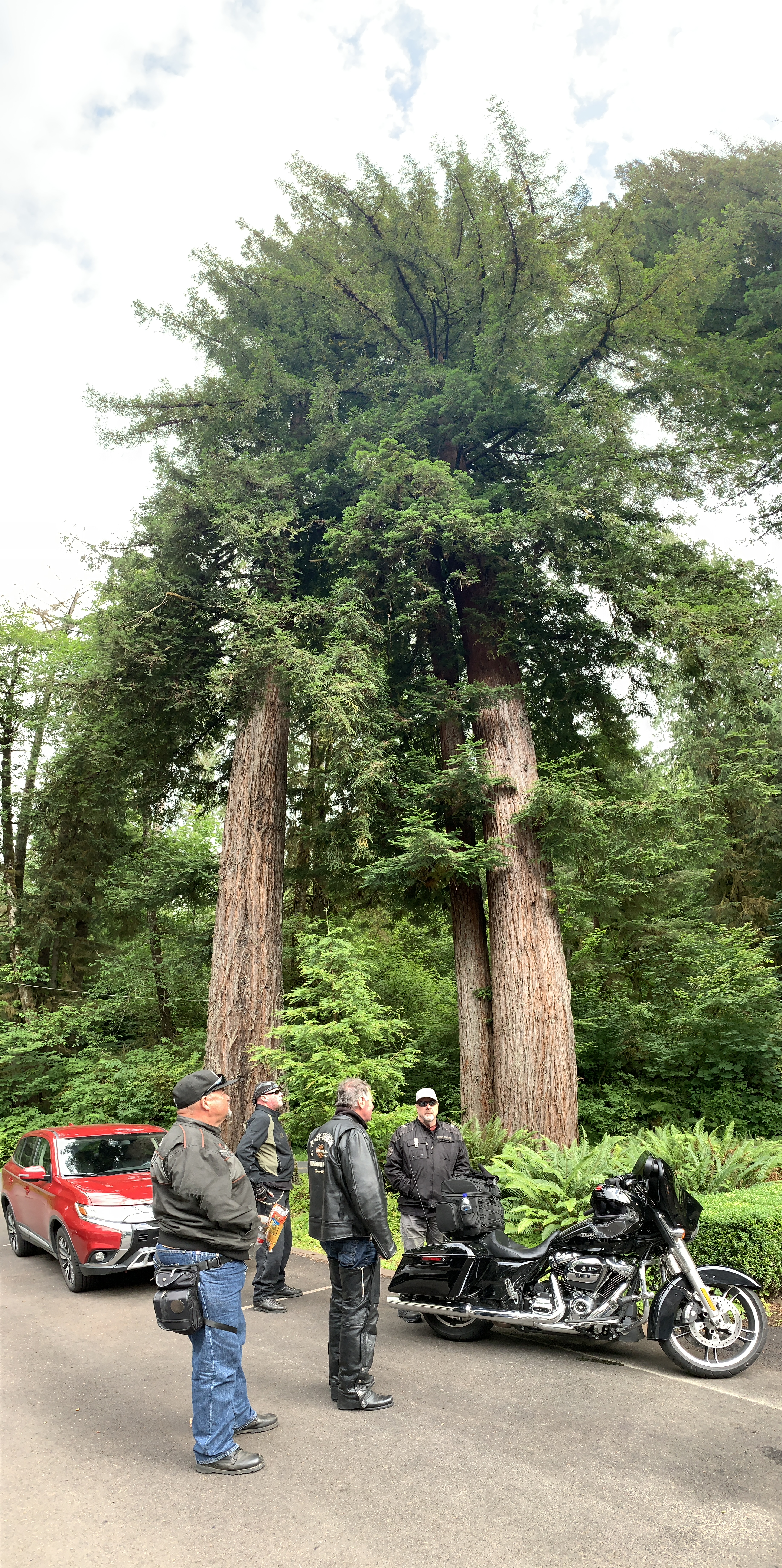 0349B10E-A6F4-47E4-AD08-44347C833558