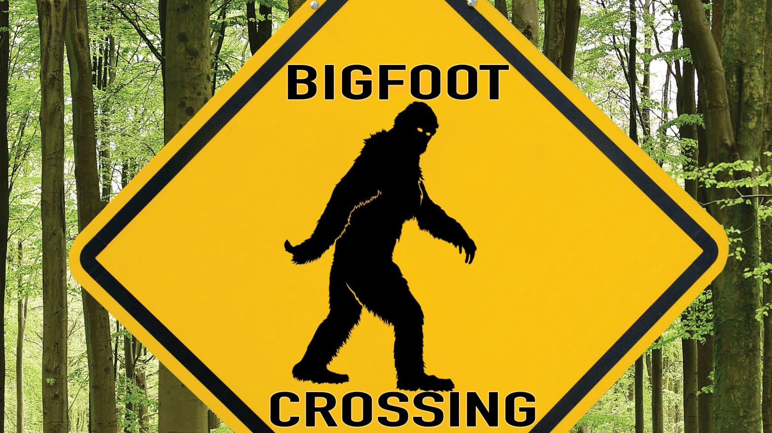 150508-lockwood-bigfoot-tease_rnij5h