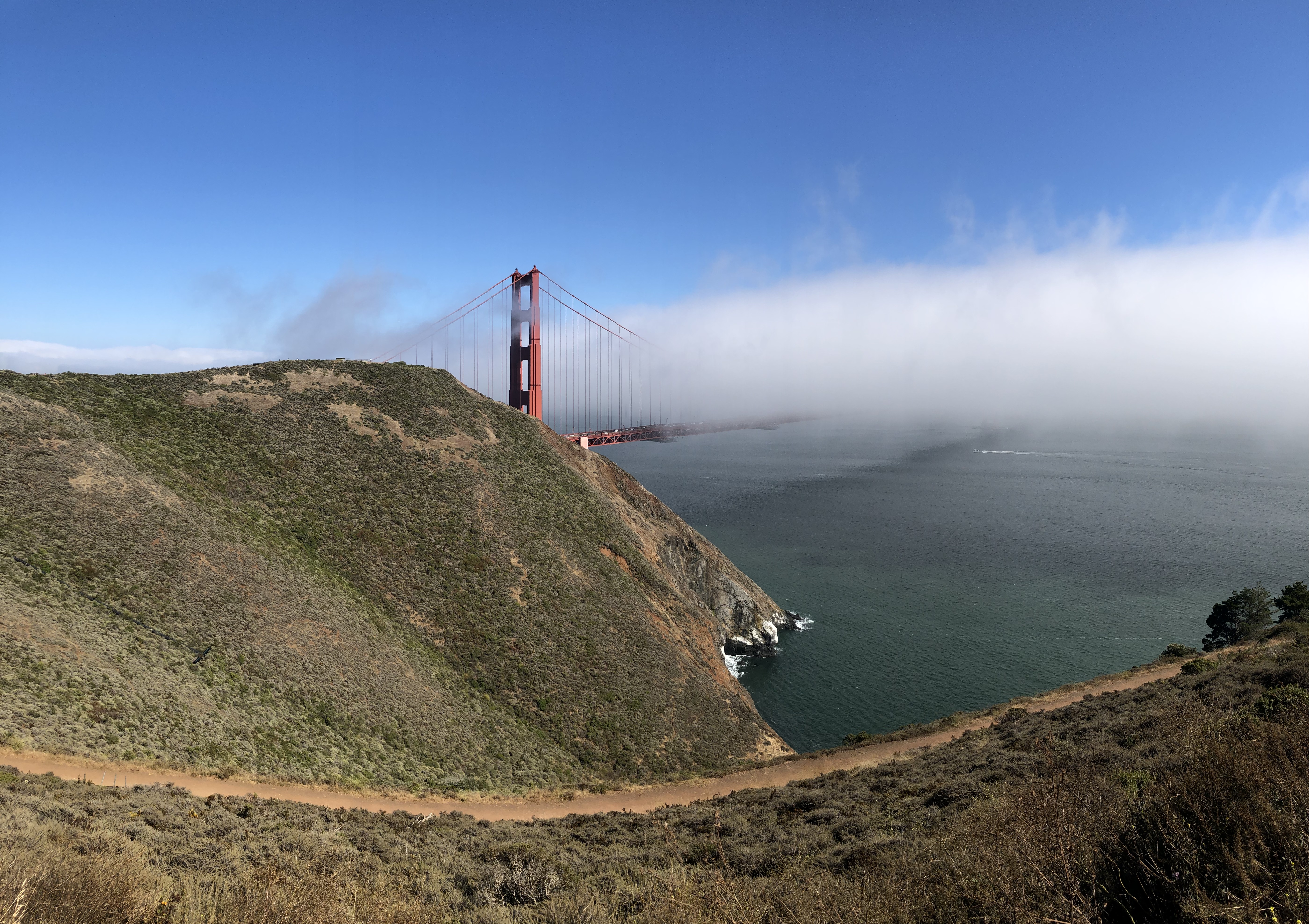 4E32B929-F126-44BF-AA3A-FC4A2A9EC9C7