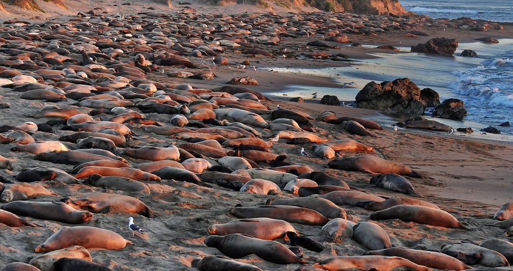 a785700c2a6391157c1047cc5e2ddbd0