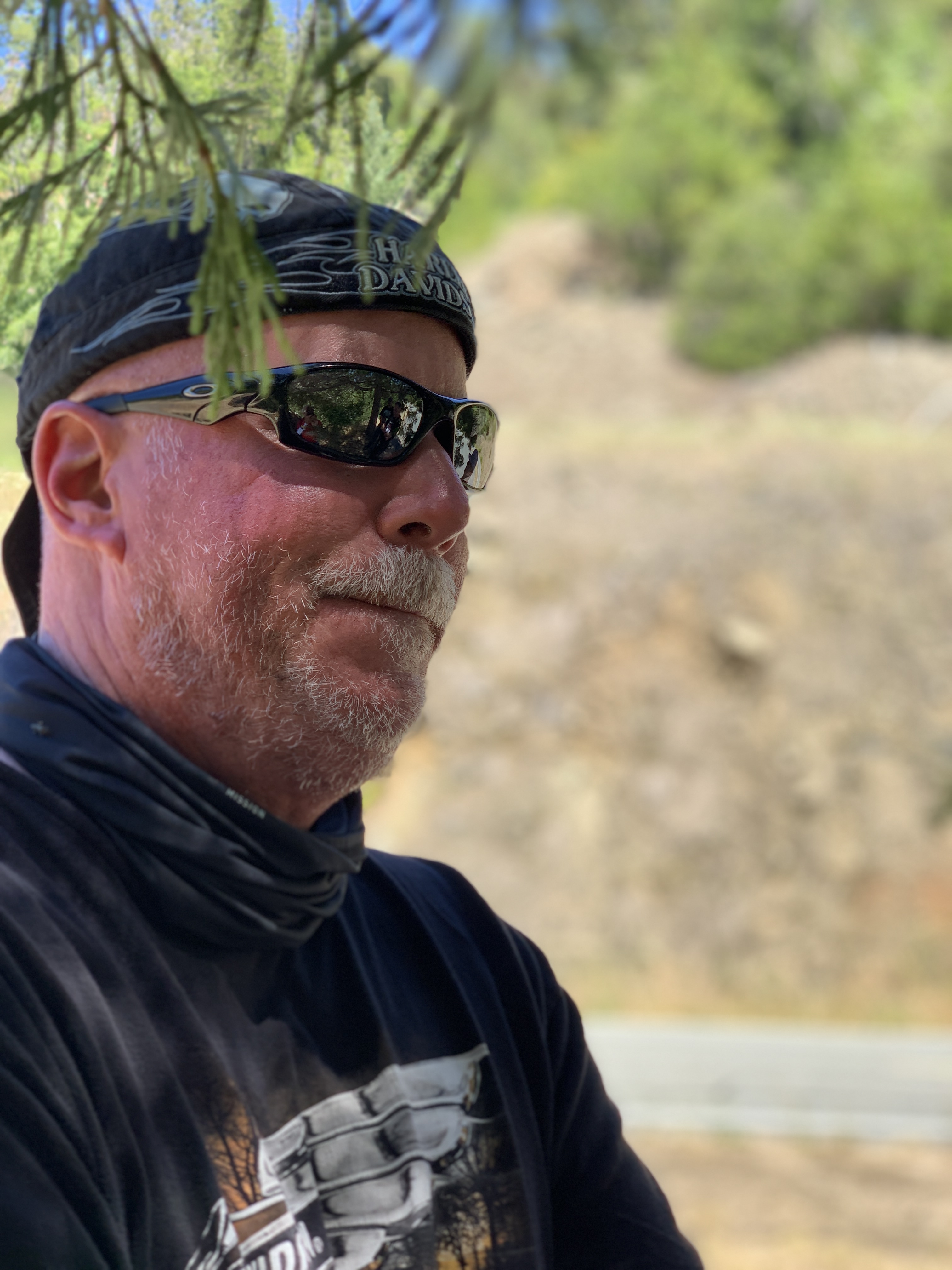 C2AFC4BC-74B4-474E-BEFC-85EE65550B44