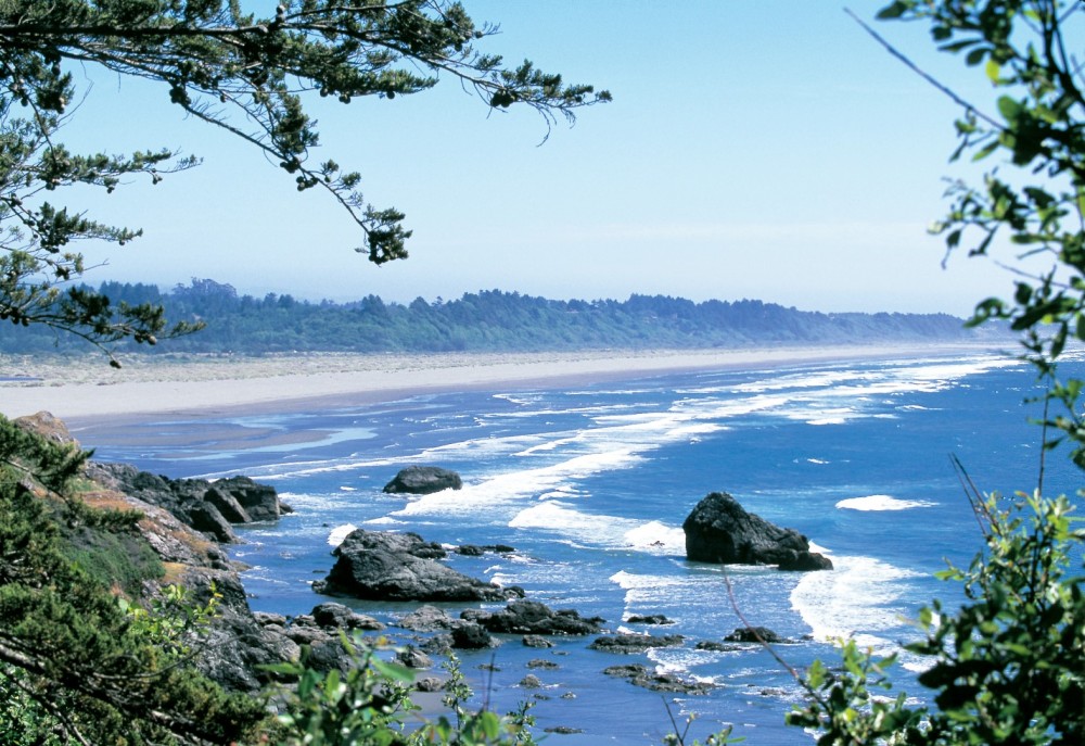 ClamBeach-Humboldt-County-Large-1000x687