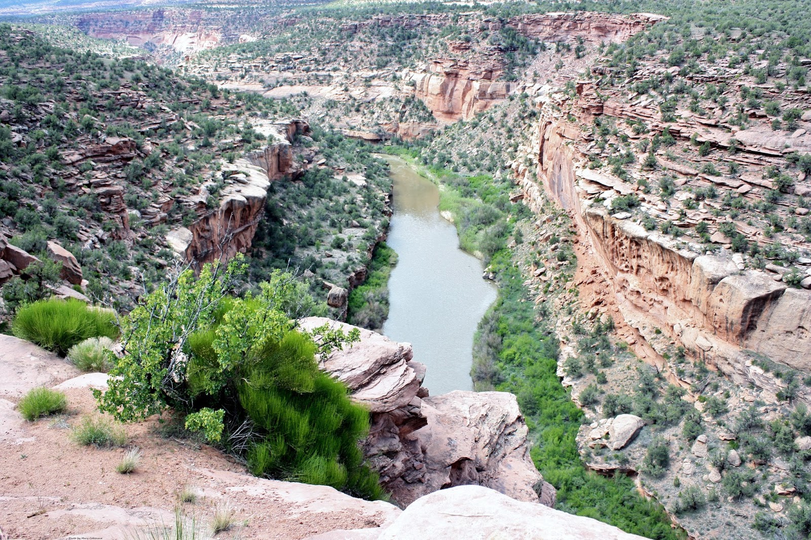 Dolores Canyon, San Miguel River