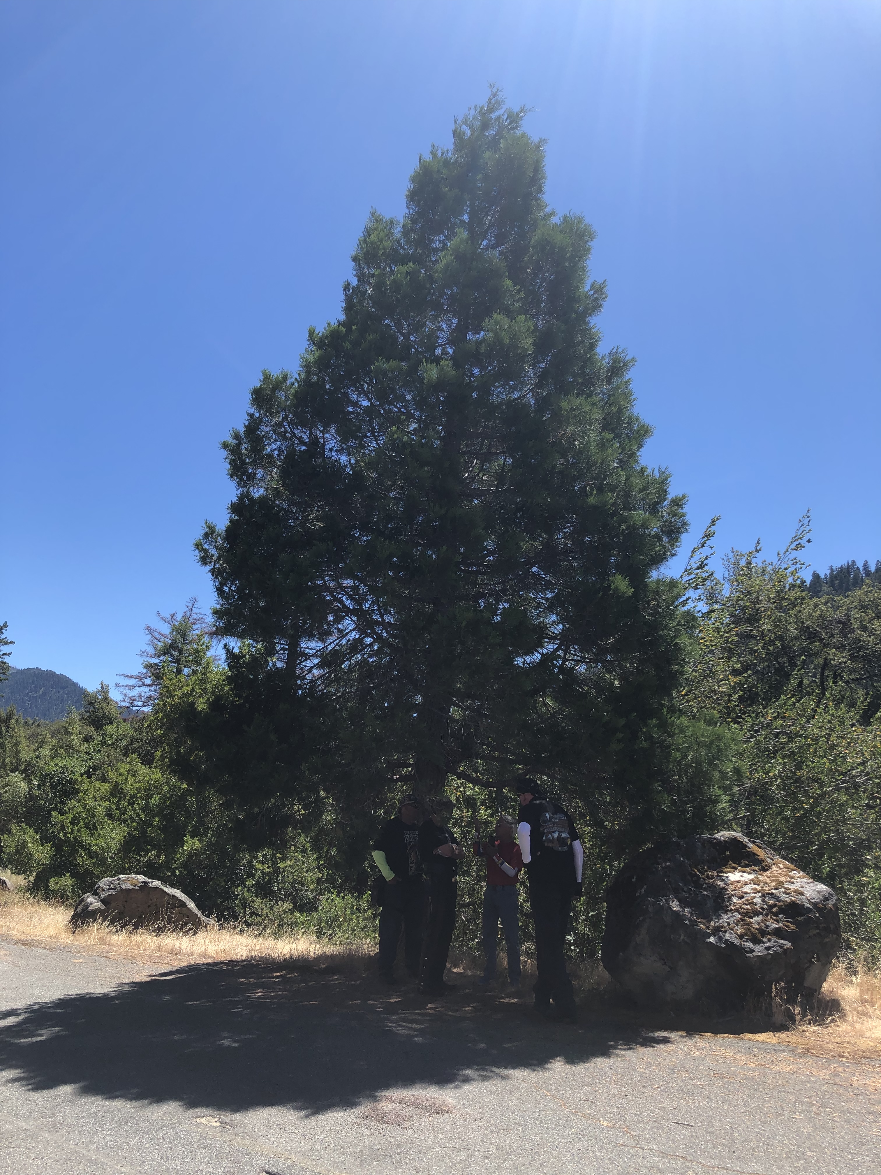 EEFE4872-1C5C-4A5E-A028-DF129CF0C540