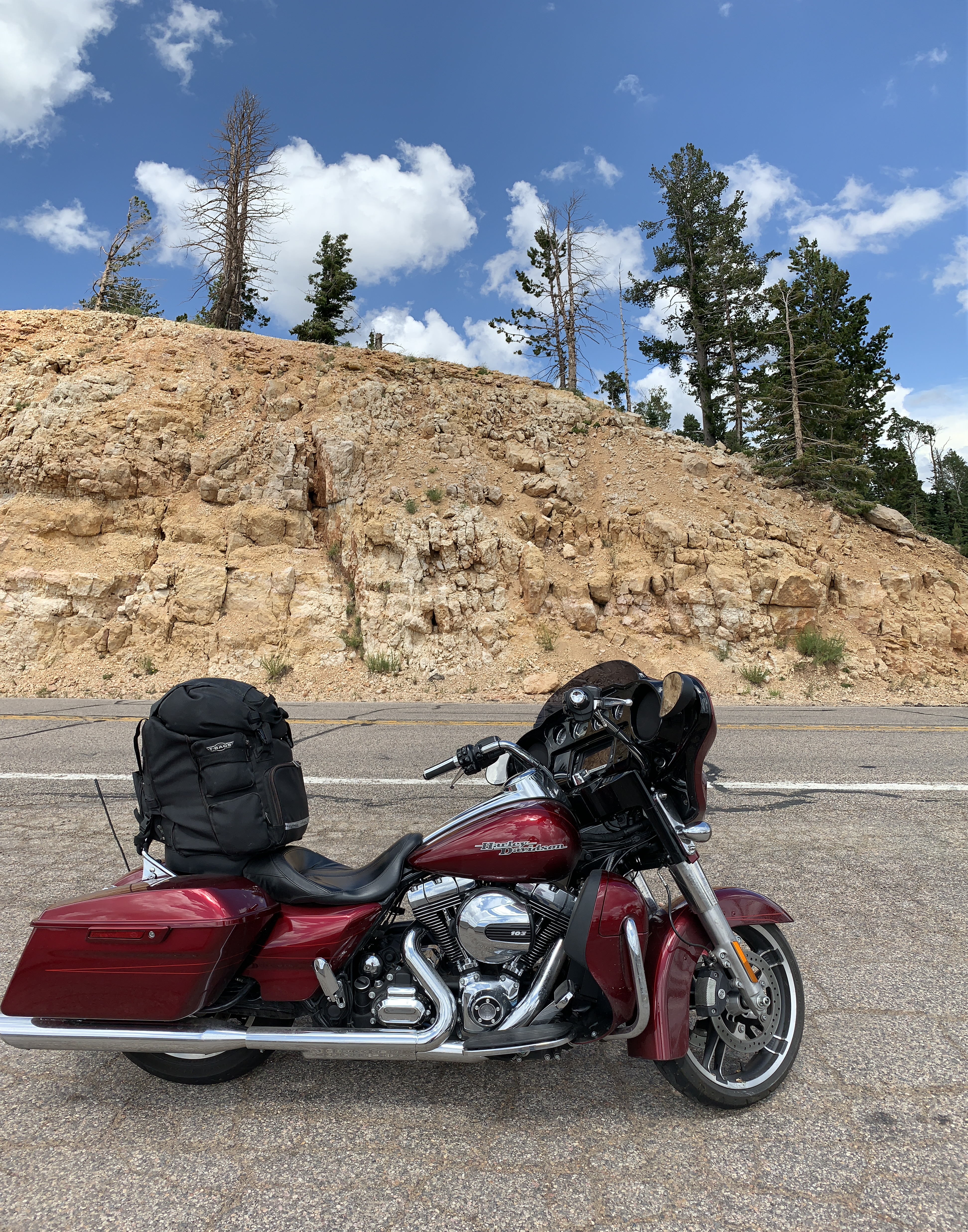 F2C5359C-49AB-4E5C-BB77-FAC301481347