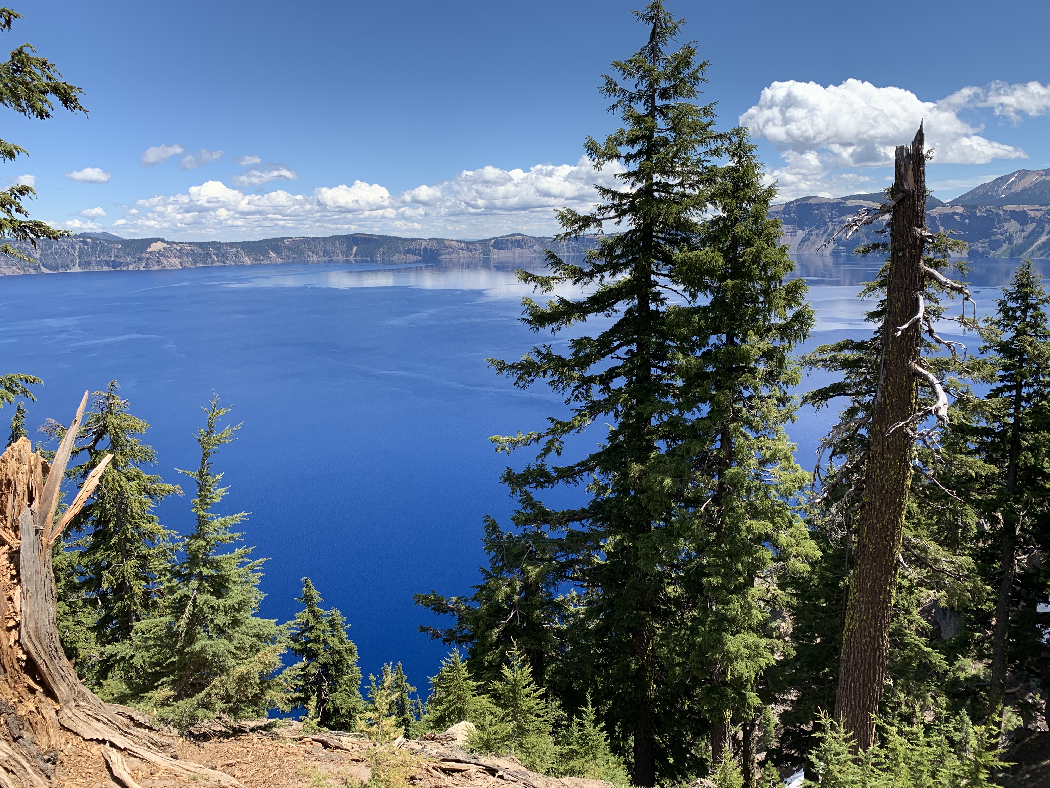 F69EF289-D32C-4533-913C-D9AFA2BECD67