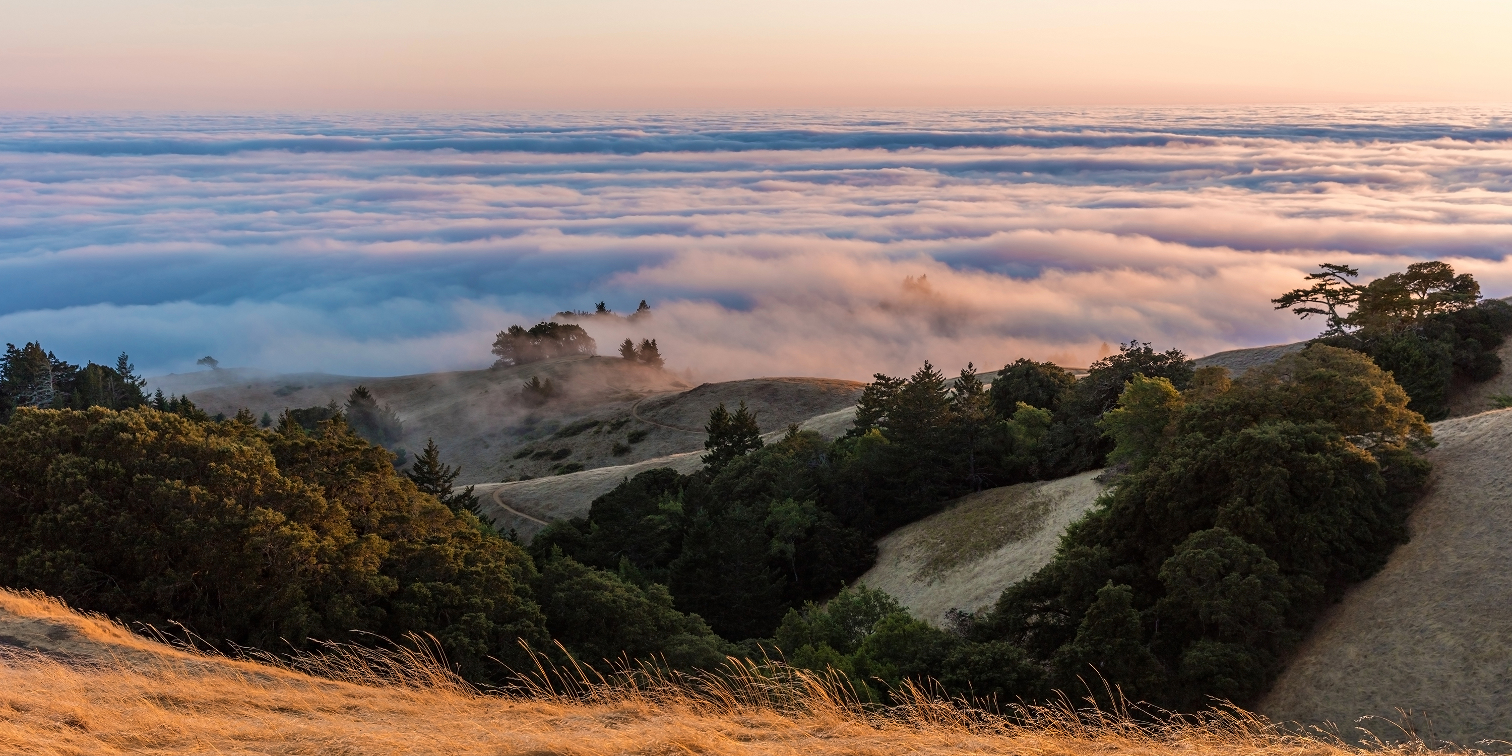 mount-tamalpais-state-park-marin-county-hike-views-via-magazine-shutterstock_596061851