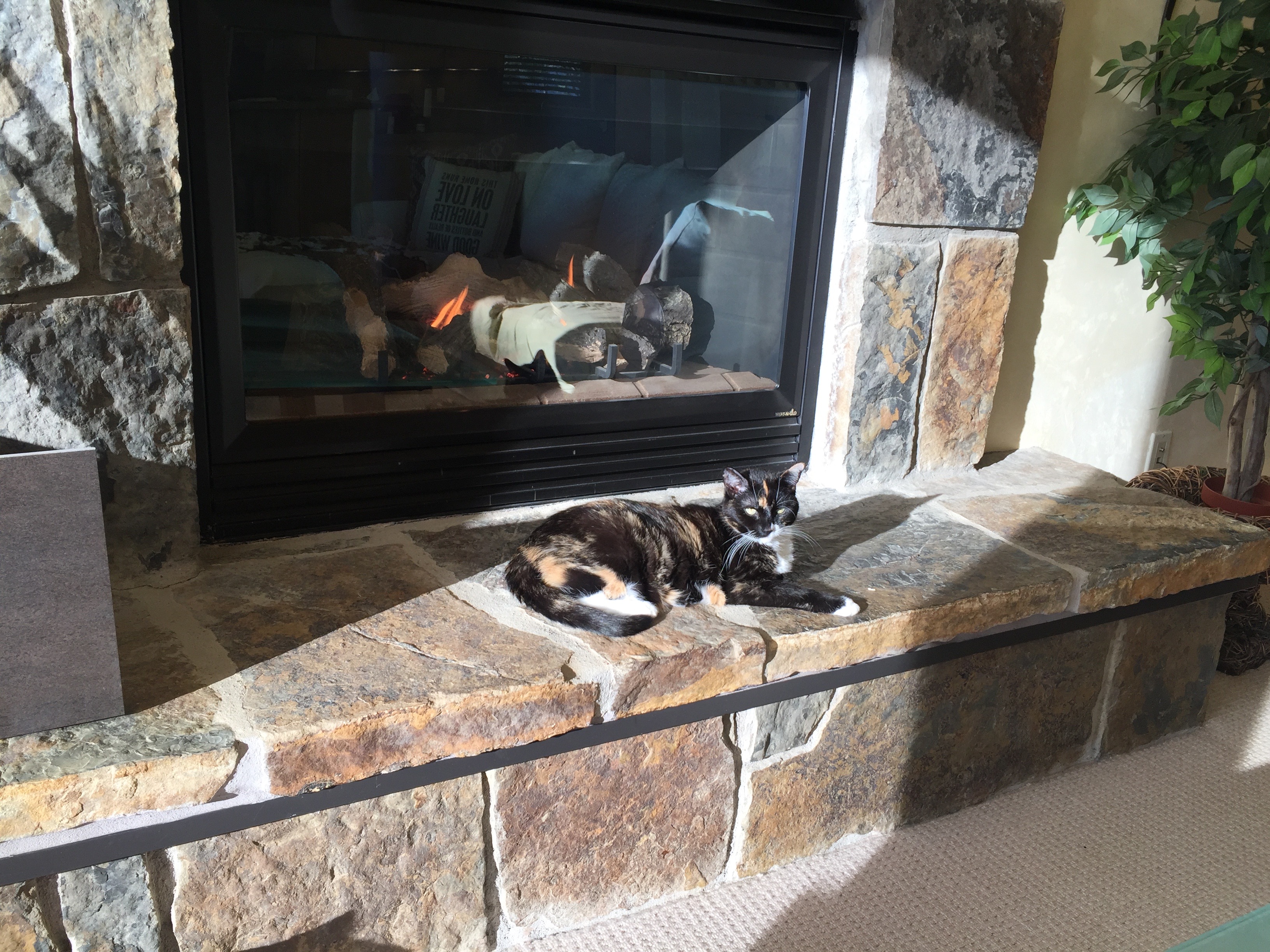 Fireplace, AspenGlen.jpg