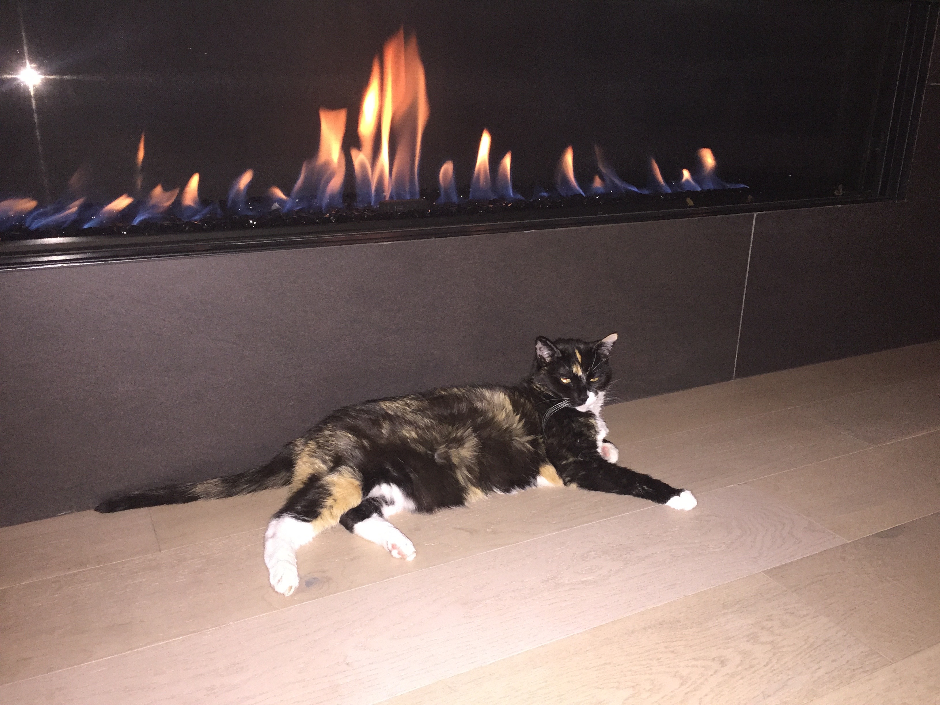 Fireplace, Sopris Mesa.jpg