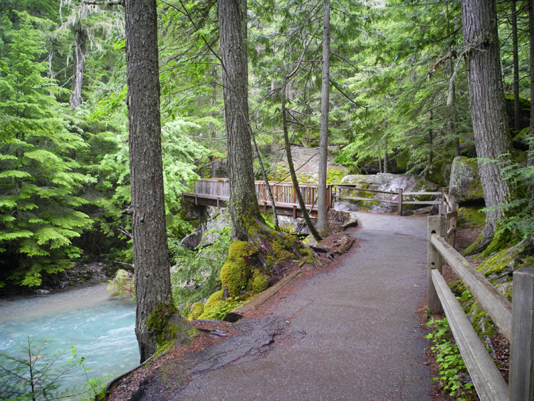 D-08, Trail of the Cedars