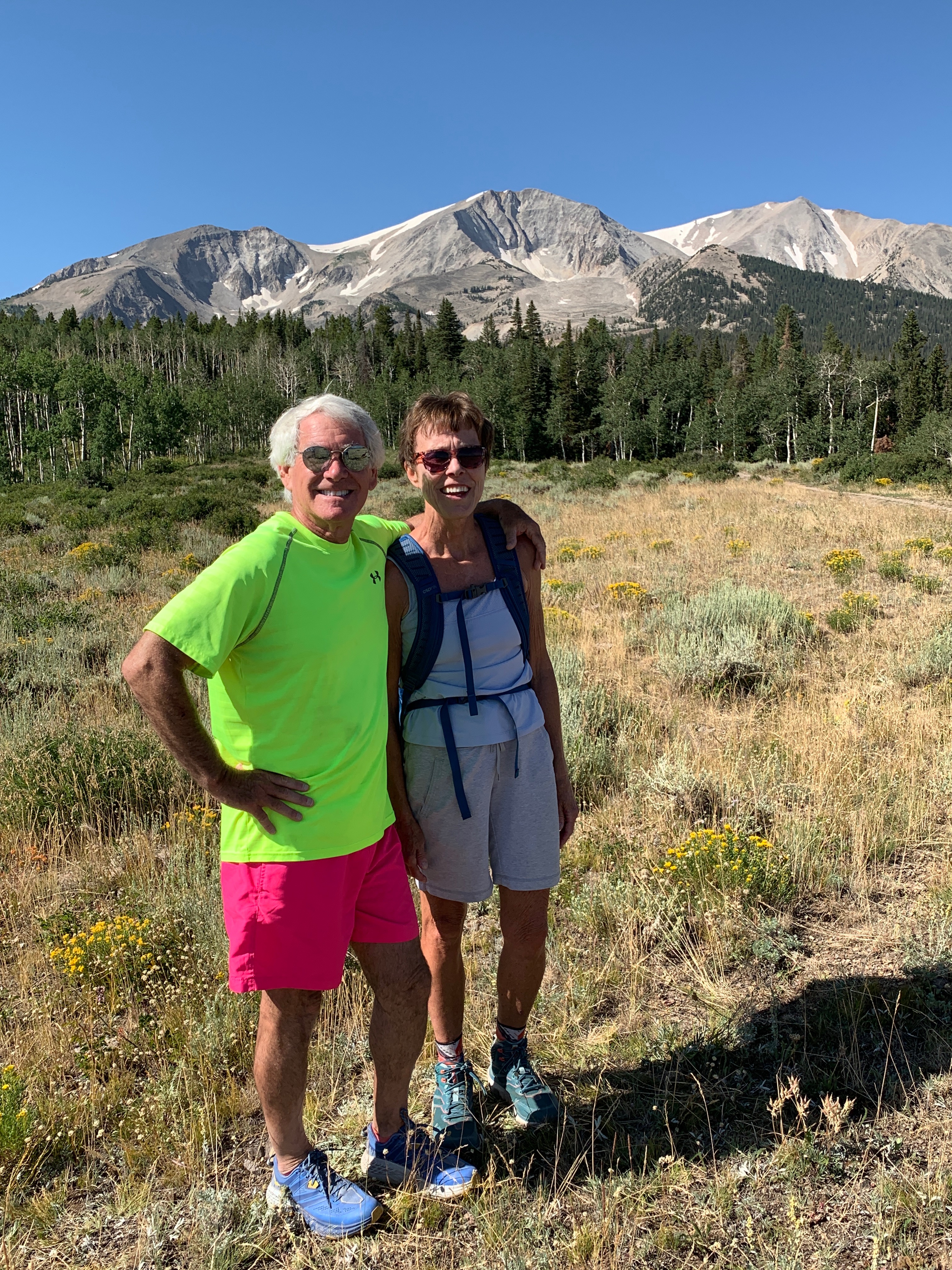 D-1, Sopris and us (2018)