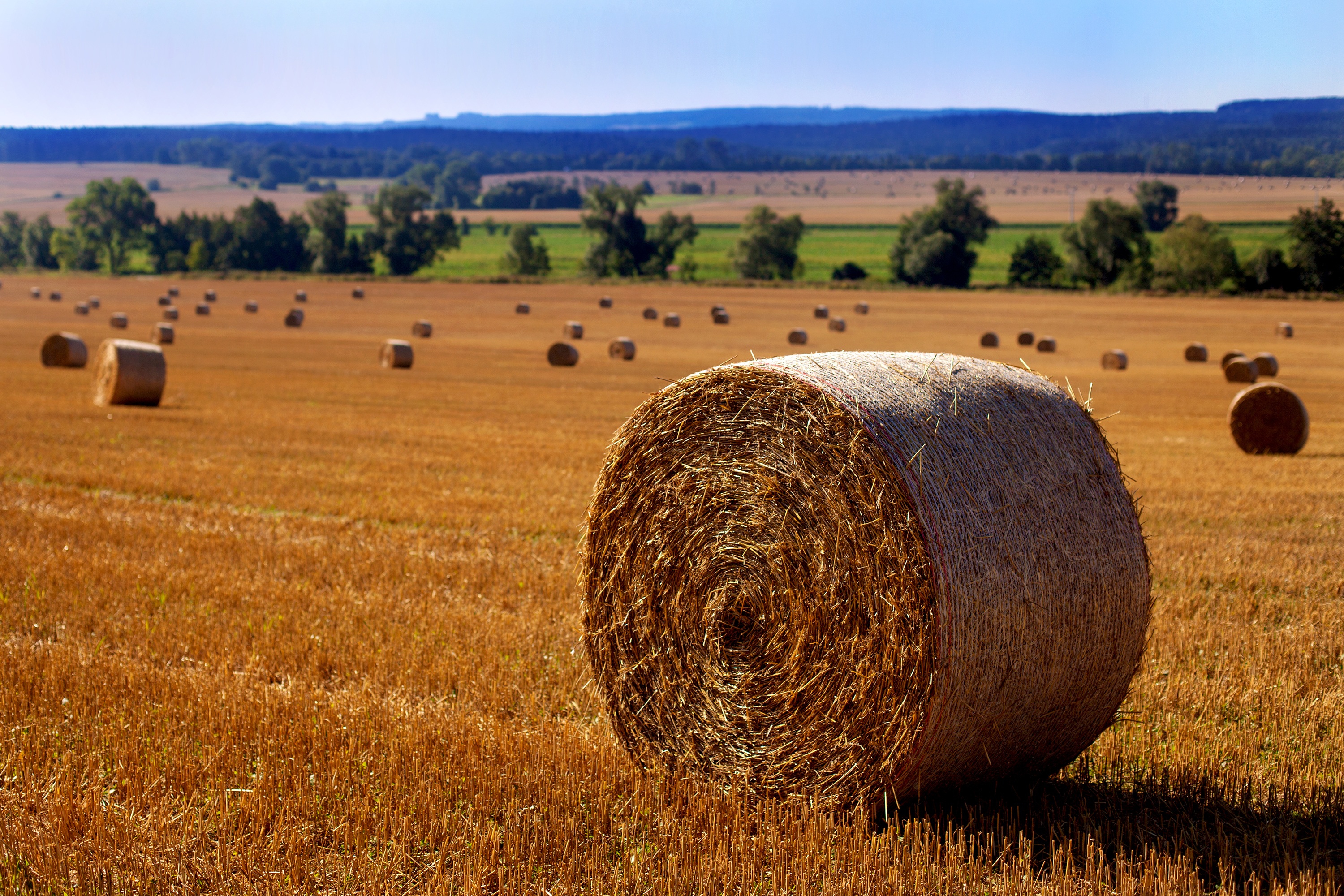 D-14, hay bales